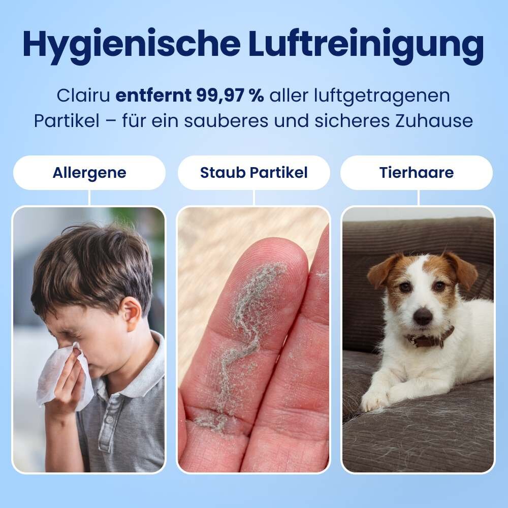 DustaClean image
